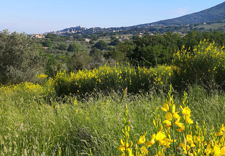 Meravigliosa Umbria wandel en fietsvakanties