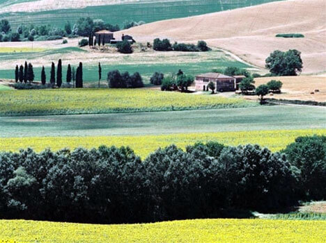 TOSCANA